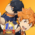 HAIKYU!! FLY HIGH