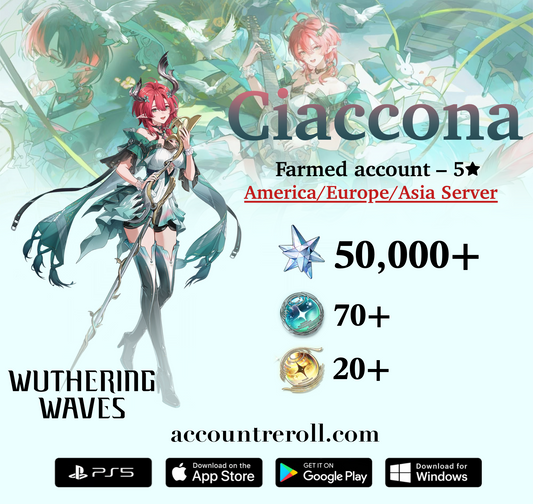 Ciaccona Wuthering Waves Farmed Starter Account