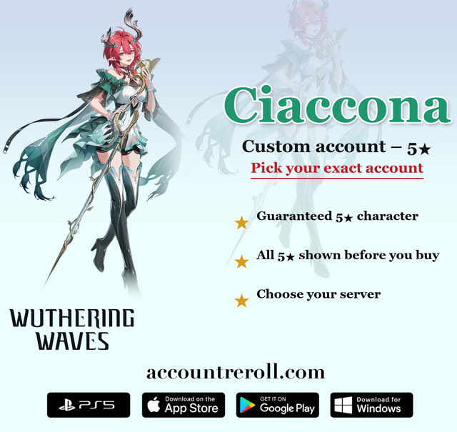 Ciaccona Wuthering Waves Custom Account