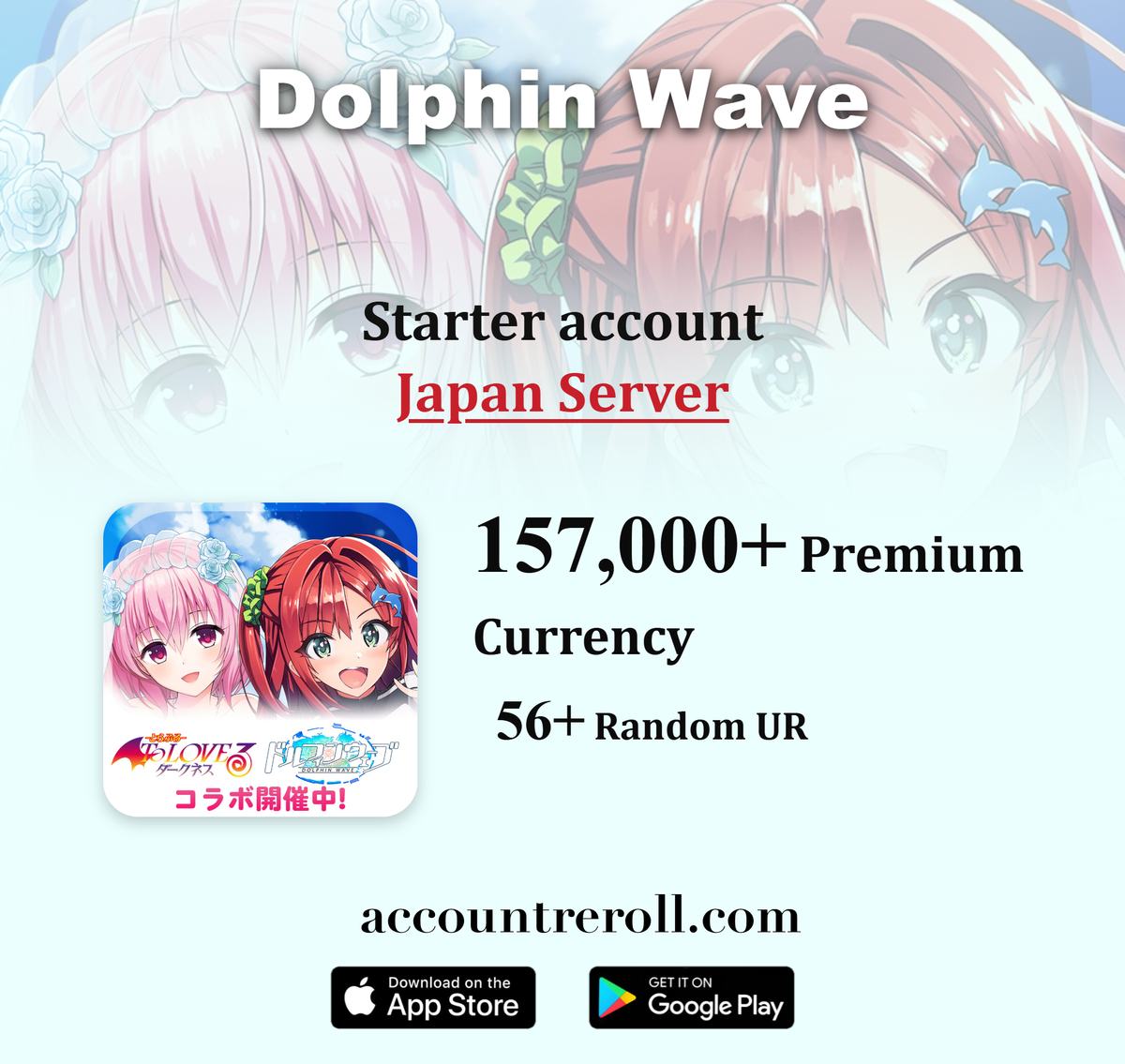 Dolphin Wave Starter Account [Japan]
