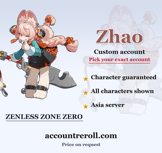 Zhao Zenless Zone Zero Custom Account